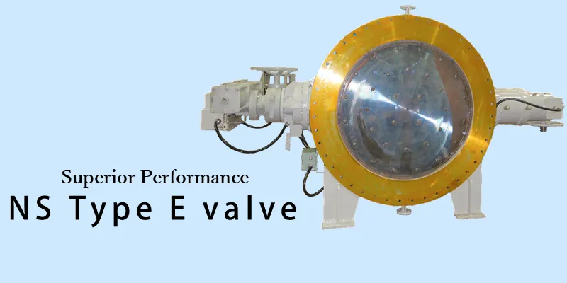NS Type E Valve