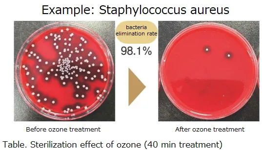 Jet Fujin Bactericidal effect of ozone gas jets on general bacteria